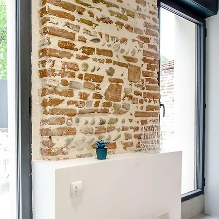 Beethoven By Cocoonr Apartment *