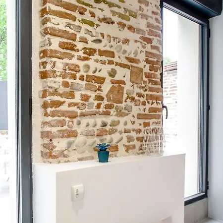 Beethoven By Cocoonr Apartment Toulouse